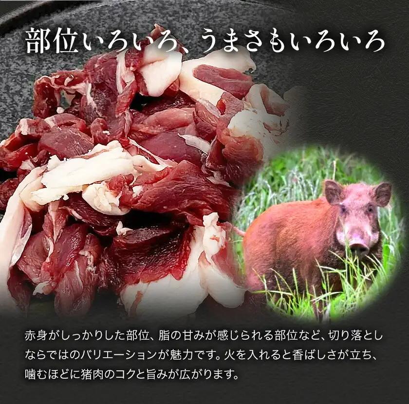 猪肉切り落とし 計約1kg ダブルビーゼット株式会社《30日以内に出荷予定(土日祝除く)》