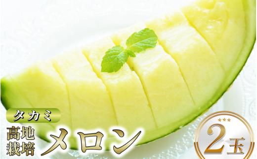 メロン 青肉 徳島県産 高地栽培 タカミ 2玉 青肉メロン フルーツ 果物 旬 季節 厳選 高級 人気 デザート ギフト プレゼント 贈り物 贈答 送料無料 徳島県 三好市 みよし miyoshi 三好野呂内野菜生産加工組合