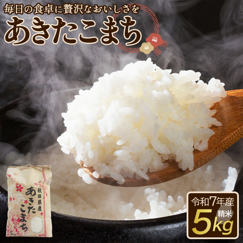 【ふるさと納税】【令和7年産】あきたこまち（精米）5kg(5kg×1袋)　【50P9026】 こめ 米 コメ ごはん 藤田農園 秋田県 大館市産