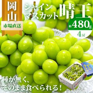 ぶどう 2026年　シャインマスカット 晴王 4房（1房480g以上）約2kg｜ シャインマスカット