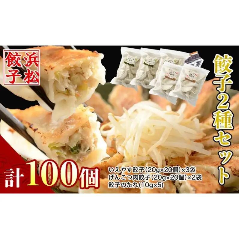 餃子 いえやす餃子 2種 100個セット 惣菜 冷凍 冷凍餃子 餃子