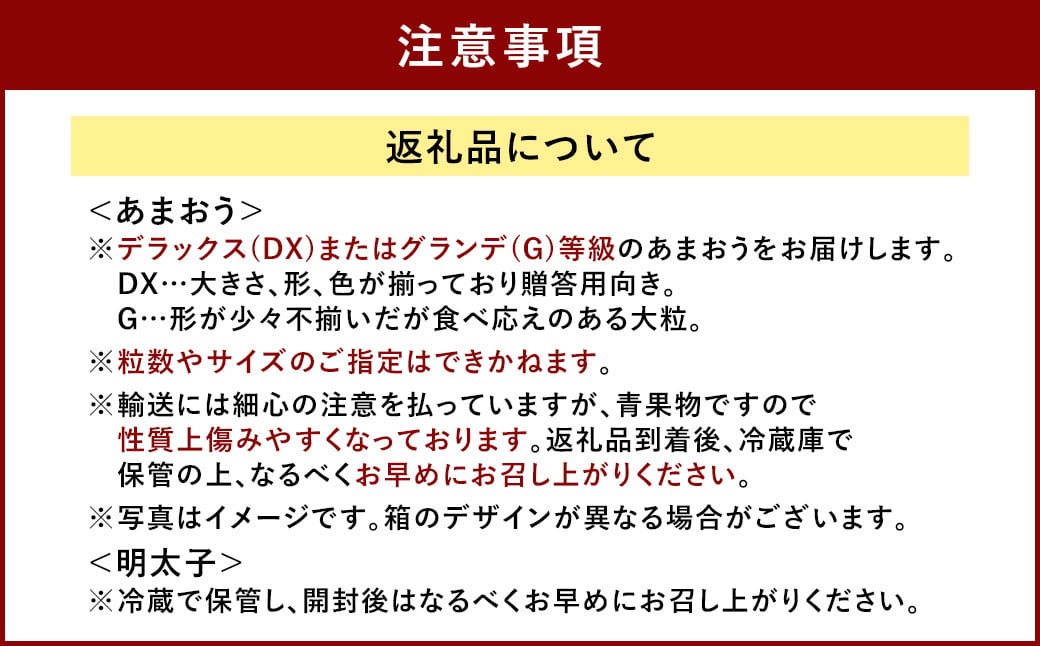 あまおう＆ふくや 味の明太子 290g セット 苺 いちご イチゴ めんたいこ セット【2025年12月上旬～2026年3月下旬発送予定】