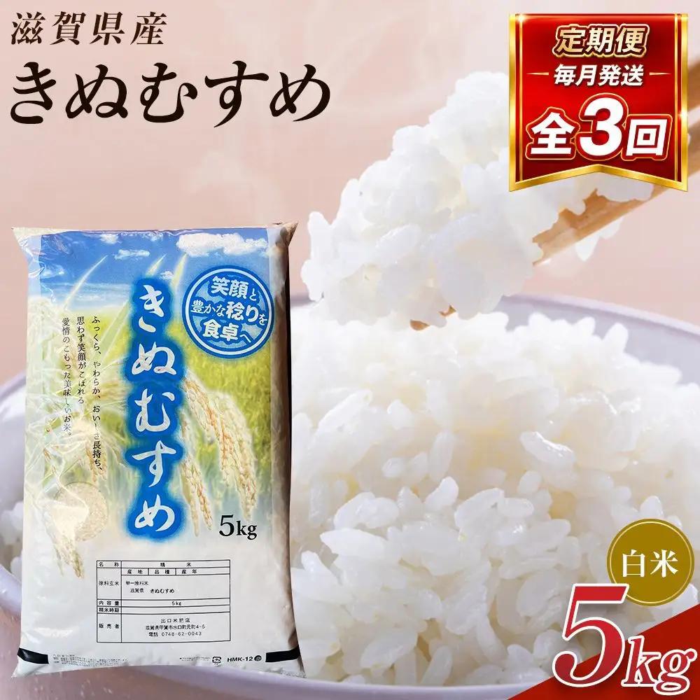 【令和8年産 新米 先行予約】近江米きぬむすめ白米5kg×3回定期便※2026年9月～発送