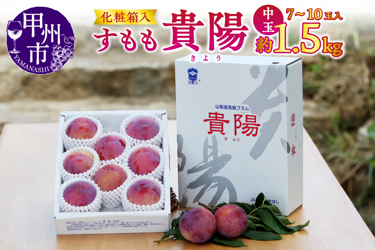 【宿沢フルーツ農園】すもも『貴陽』約1.5kg 化粧箱中玉（7～10玉）【2025年発送】（SF）B12-143