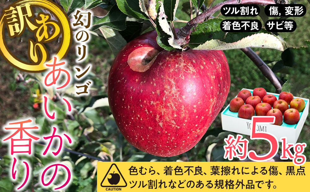 訳あり りんご あいかの香り 約5kg セット 2025年 令和7年度発送分 リンゴ 林檎 長野 フルーツ 果物 信州産 長野県産 特産 産地直送 家庭用 おすすめ