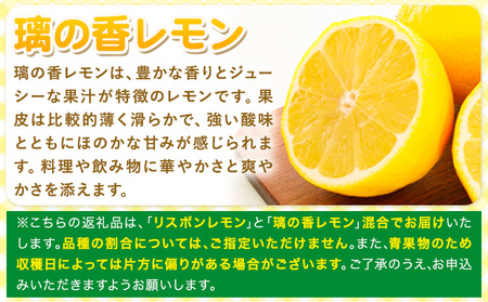 レモン 訳あり 5kg マルセイ株式会社《11月上旬-1月末頃出荷》