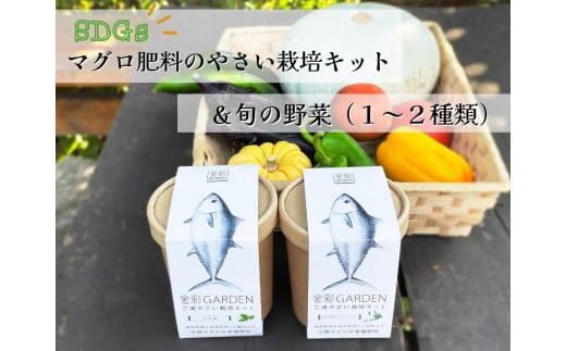 B15-010 食彩GARDEN三浦やさい栽培キット＆旬野菜