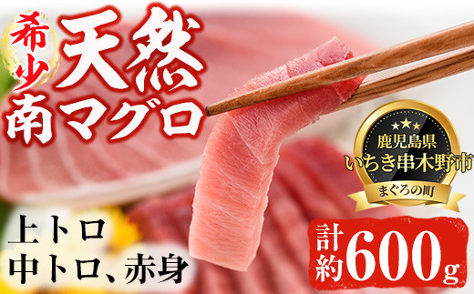 
天然! 南マグロ 冷凍 上トロ 200g 中トロ 200g 赤身 200g 合計約600g 希少 な ミナミマグロ の 堪能セット 南まぐろ 刺身 小分け 【新洋水産】 【B-270H】
