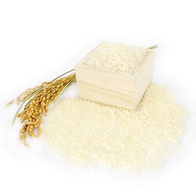 【令和7年産】多古米コシヒカリ　精米20kg(5kg×4袋)【配送不可地域：離島・沖縄県】