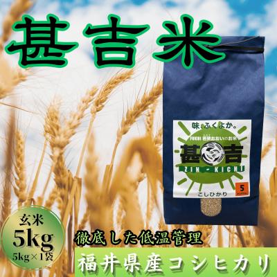 ふるさと納税 おおい町 【毎月定期便】＜上旬発送＞福井県おおい町産 甚吉米(コシヒカリ・玄米)5kg×1袋全6回