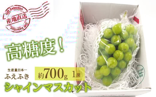 ＜25年発送先行予約＞厳選！山梨県笛吹市産 シャインマスカット 約700g（1房） 156-005