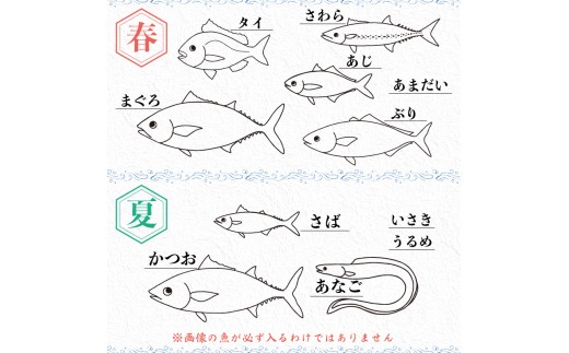 鮮魚BOX 4kg 刺身 刺し身 旬 海鮮 鮮魚 魚介 焼き 煮付け 炙り カルパッチョ 寿司 丼 おつまみ おかず ご飯に合う 米に合う コメに合う 家庭用 父の日 高級 冷蔵 高知県 須崎市 土佐