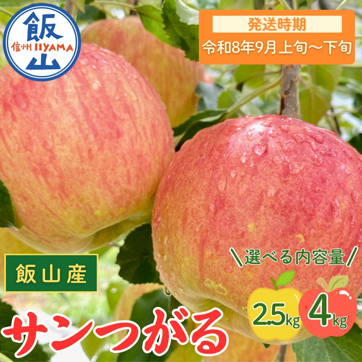 【ふるさと納税】2026年 先行予約 ＼ サンつがる／ 選べる 2.5kg / 4kg 長野県産 ＜出荷開始：2026年9月上旬〜 【 りんご リンゴ 林檎 フルーツ 果物 信州 津軽 つがる ツガル 産地直送 新鮮 オススメ 美味しい 長野県 飯山市 】（At）