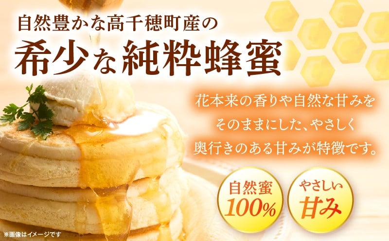 日本みつばち 高千穂の純粋蜂蜜 245g×1本|蜂蜜 はちみつ 日本みつばち 純粋蜂蜜 国産蜂蜜 天然蜂蜜 垂れ蜜 蜜蜂 希少 蜂蜜 濃厚 花 伝統製法 特産品 ふるさと納税 返礼品 宮崎県 高千穂町