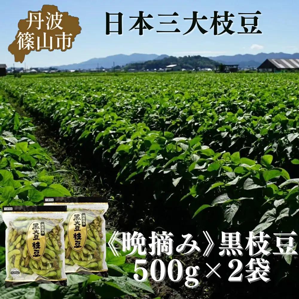 月間ランキング入り！【先行予約】丹波黒枝豆 濃厚 500g×2袋 晩摘み 枝豆  [CU11]