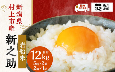 【精米即日発送・令和7年産米】新潟県村上市産  新之助 12kg　B4073 