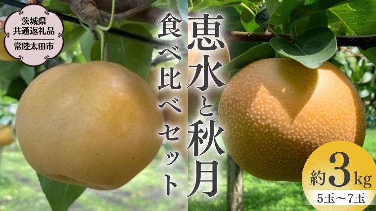 【 2025年 先行予約 】 厳選 2種！恵水 と 秋月 の 食べ比べセット 約3kg 5玉～7玉 【 茨城県共通返礼品 ／ 常陸太田市 】 2025年9月中旬発送 桧山果樹園[DU019sa]