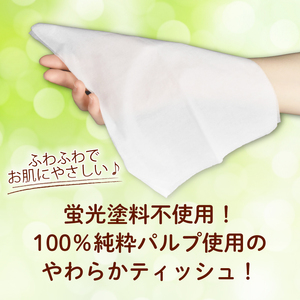 ティッシュ ペーパー 12箱 防災 備蓄 ティッシュ