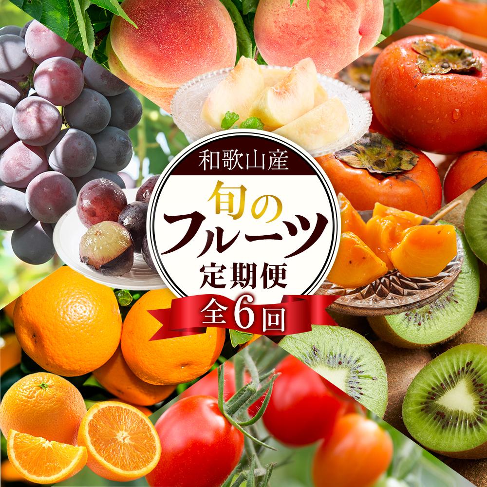 【ふるさと納税】和歌山の旬の果実を 奇数月にお届け全6回定期便（キウイ・清見オレンジ・ミニトマト・桃・ピオーネ・富有柿）【TM62】 | フルーツ 果物 くだもの 食品 人気 おすすめ 送料無料