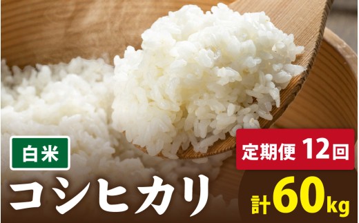 【先行予約】【12ヶ月連続お届け】【 令和8年産 新米】【数量限定】有機JAS認証 オーガニックコシヒカリ 白米 5kg×1袋×12ヶ月（計60kg）【2026年10月より発送開始】｜ お米の定期便