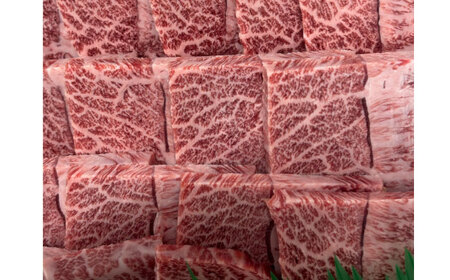 厳選佐賀牛ミスジ焼肉500g / ミスジ ミスジ ミスジ ミスジ ミスジ ミスジ ミスジ / 佐賀県 / 有限会社片岡精肉店 [41AEAC014]