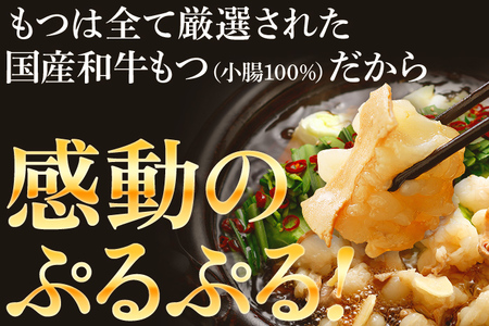 【賞味期限:2024年10月以降のものをお届け予定】もつ鍋12人前 醤油味 12人前 醤油 醤油味 国産牛小腸 国産もつ モツ 鍋 お土産 美味しい 豪華 贅沢 福岡県 福岡 九州 グルメ お取り寄せ