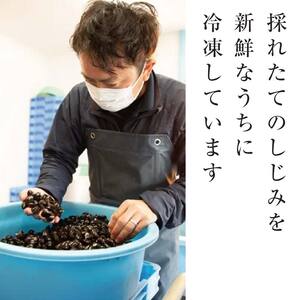 十三湖のしじみ 冷凍 寒しじみ 大粒 約1kg 【奈良屋】 蜆 シジミ 魚貝類 貝 オルニチン 十三 F6N-163