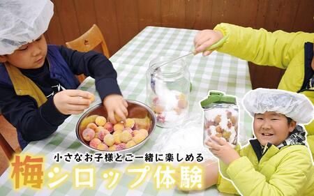 梅ジュース＆梅ジャムづくり体験チケット  A-137