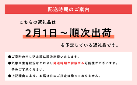 【レビューキャンペーン】歳末限定！糖度選別 特Aサンふじ約5kg 糖度13度以上！【青森県 平川市 JA津軽みらい 2月】 青森 青森県産 平川 りんご リンゴ 林檎 くだもの 果物 フルーツ[hi-