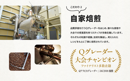 水出し アイスコーヒー 40袋 自家焙煎 水出し珈琲