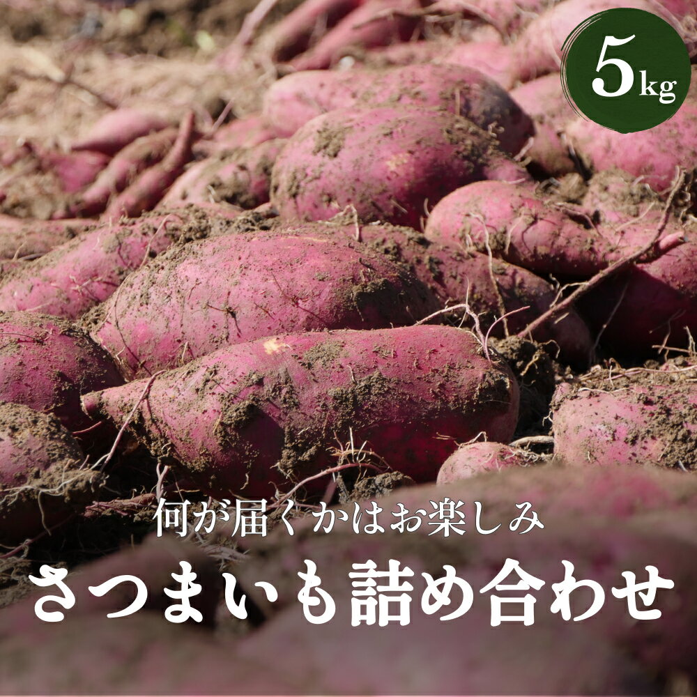 【ふるさと納税】さつまいも詰め合わせ5kg（3種〜何が届くかはお楽しみ） 富山県 氷見市 さつまいも サツマイモ 詰め合わせ