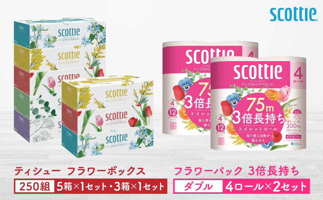 【スコッティ】ティシュー フラワーボックス 250組（5箱パック×1セット・3箱パック×1セット）＋フラワーパック 3倍長持ち（4ロール(ダブル)パックx2セット）ティッシュ トイレットペーパー 日用