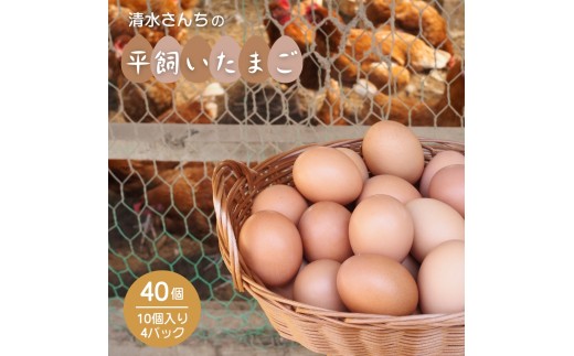 清水さんちの 平飼いたまご 40個 平飼い卵 平飼い玉子 自然卵 たまご 玉子 自然 平飼い 八街 千葉県