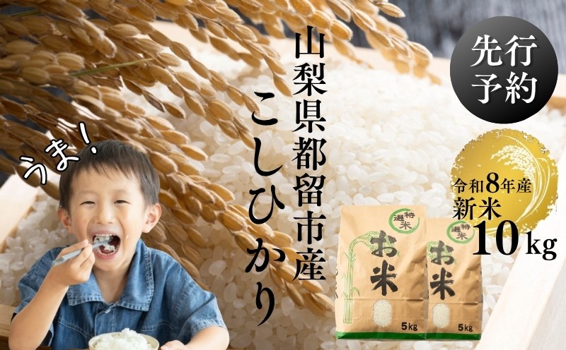 
                  【令和8年産先行予約】山梨県都留市産こしひかり[10kg]  おコメ おこめ お米 米 こしひかり 
                