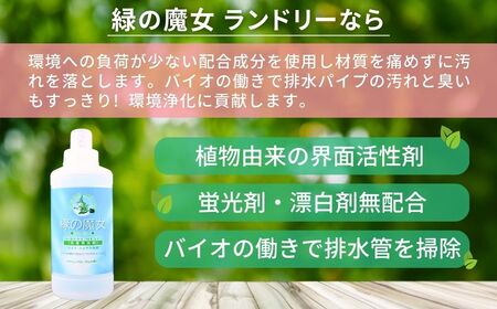 洗濯洗剤 緑の魔女ランドリー600ml×20本セット洗剤+パイプクリーナー | 洗剤 洗剤 洗剤 洗剤 洗剤