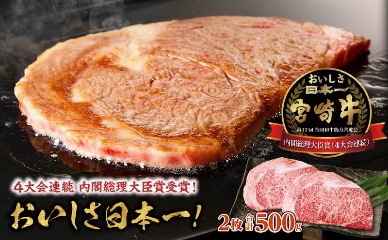 宮崎牛霜降り（ロース）ステーキ250g×2枚 計500g　A206