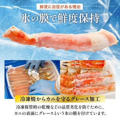 ふるさと納税 敦賀市 12/24まで年末配送 肉厚 カット済み ボイル たらばがに足 (総重量1kg)×3箱【甲羅組】 |  | 03