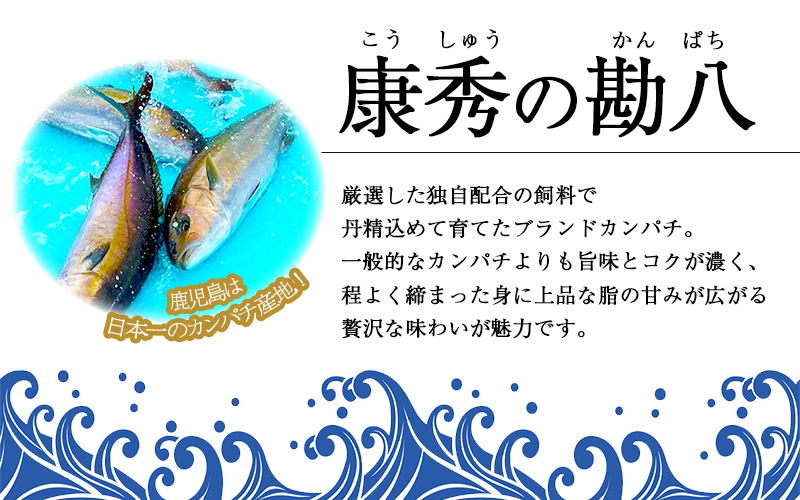 C3-7701／康秀の勘八 刺身 スライス（10枚×5P）