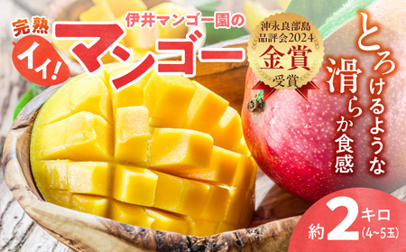 【 2026年 先行予約 】 伊井マンゴー園 のイイ！ マンゴー 約2キロ（ 4～5玉 ） C026-003 果物 フルーツ