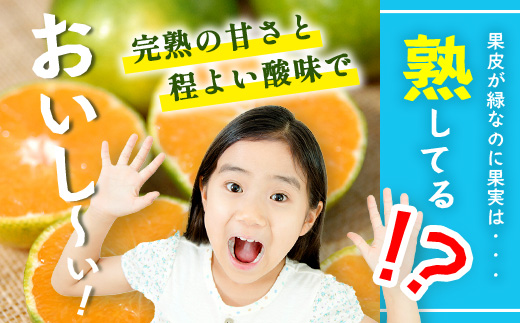 C-2【先行予約】 グリーンハウスみかん　5ｋｇ【2025年7月中旬～8月末まで発送予定】みかん 蜜柑 ミカン ハウスみかん フルーツ 果物 くだもの 果実 冷蔵 フレッシュ 美味しい 人気 ビタミン