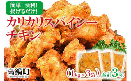 ＜カリカリスパイシーチキン 3kg（1kg×3袋）＞翌々月末迄に順次出荷【c765_bn_x3】