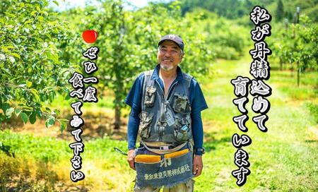 予約受付 8月上旬～発送予定　【 品種おまかせ 】りんご 約 2kg セット 北上市/口内産 りんご 果物 フルーツ おやつ お土産 お歳暮 お中元 お祝い 子供 ファミリー 家庭 金成園 岩手県 北