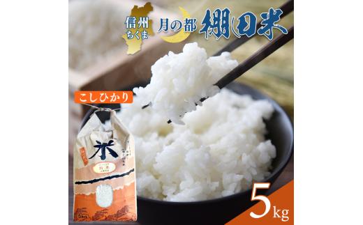 【2025年先行予約】棚田米 こしひかり 白米 5kg 令和7年産｜ 新米 コシヒカリ 千曲市 長野県 信州