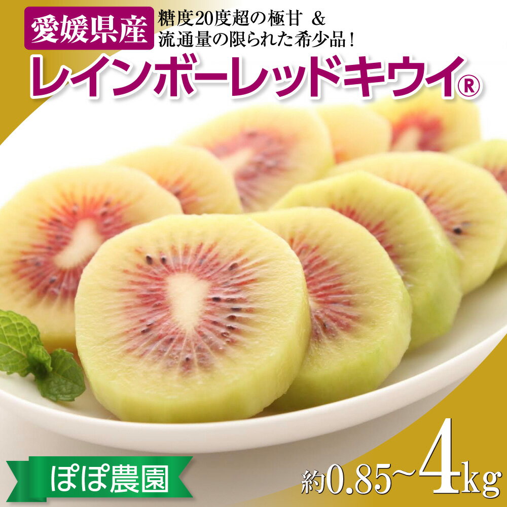 【ふるさと納税】 【ぽぽ農園】 キウイ キウイフルーツ レインボーレッド 最高糖度 20度超の極甘！レインボーレッドキウイ（四国中央市産レインボーレッド）選べる 容量 サイズ