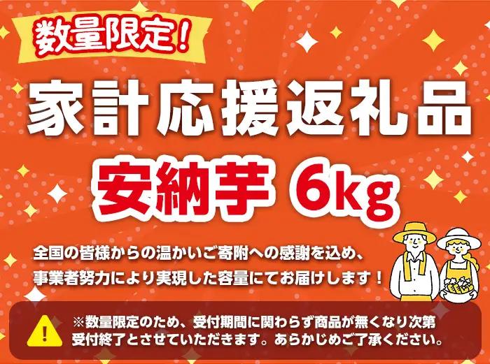 期間限定 安納芋 6kg 黄金 種子島 さつま芋 セット 【なかたね農産】n331-z