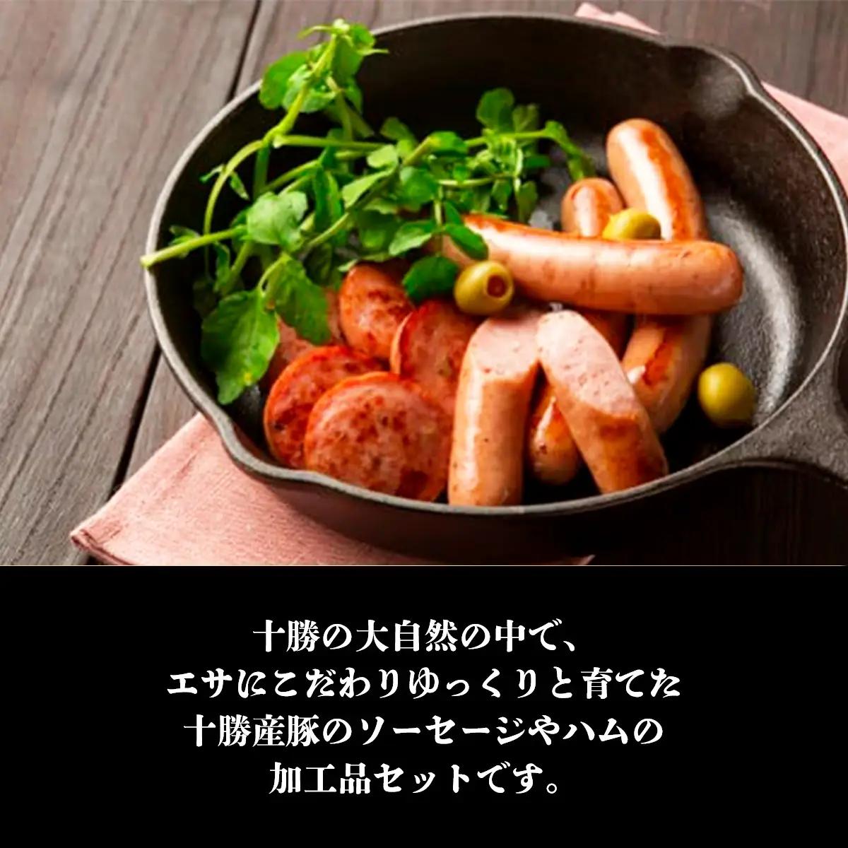 十勝のハム・ソーセージ ボリュームセット SKD003 【 人気  北海道  送料無料 】