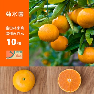 温州みかん 富田林市東條産10kg 【菊水園】 甘い美味しい みずみずしいと人気の柑橘です。