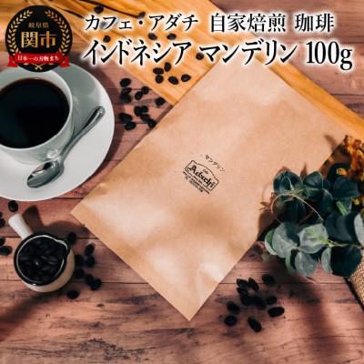 ふるさと納税 関市 インドネシア マンデリン 100g (約10杯分)カフェ・アダチBN-033