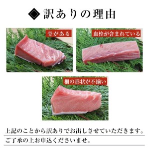 天然南マグロ 大トロ600g超！（南マグロ大トロ3柵 計600g以上）訳ありのため数量限定でご案内 訳アリ マグロ【B-273H】