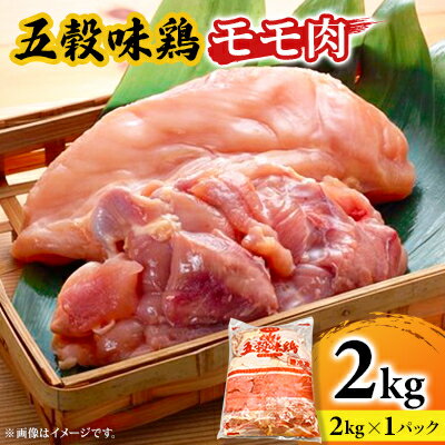 【ふるさと納税】五穀味鶏(ごこくあじどり)モモ肉2kg【配送不可地域：離島】【1435709】